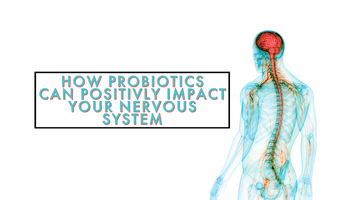 How Probiotics Can Positively Impact Your Nervous System