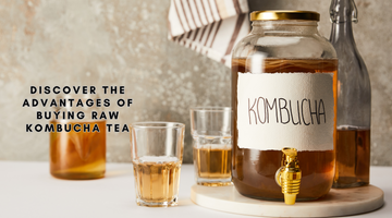 Kombucha Warehouse - Discover the Advantages of Buying Raw Kombucha Tea