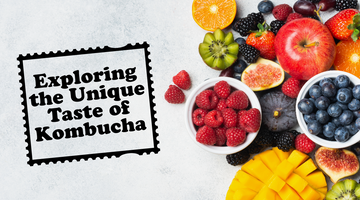 Kombucha Warehouse - Exploring the Unique Taste of Kombucha