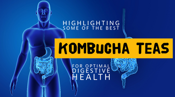 Kombucha Warehouse - Highlighting Some of the Best Kombucha Teas for Optimal Digestive Health