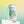 Load image into Gallery viewer, Laid Bear Lime and Mint (330ml)
